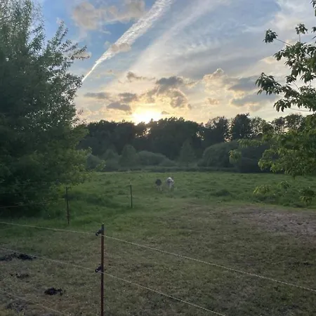 Edles Naturidyll Bei Berlin *