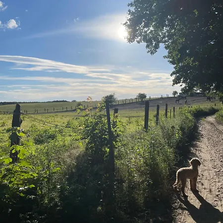 아파트 Edles Naturidyll Bei Berlin