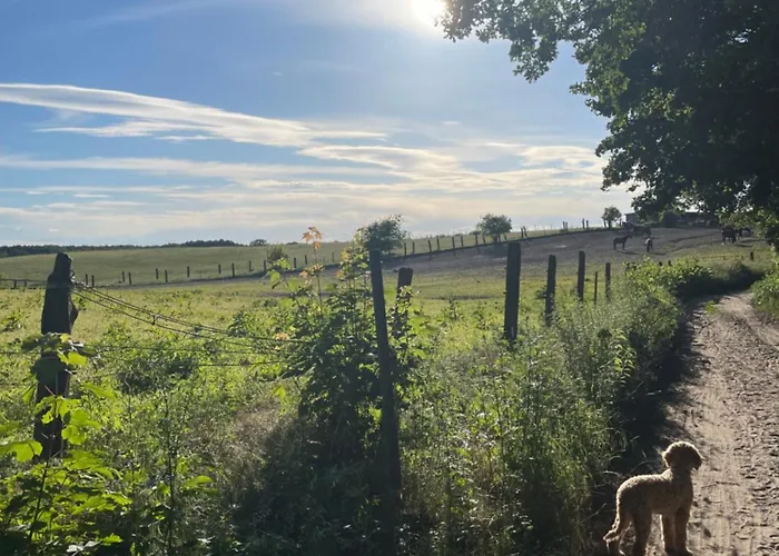 Apartment Edles Naturidyll Bei Berlin